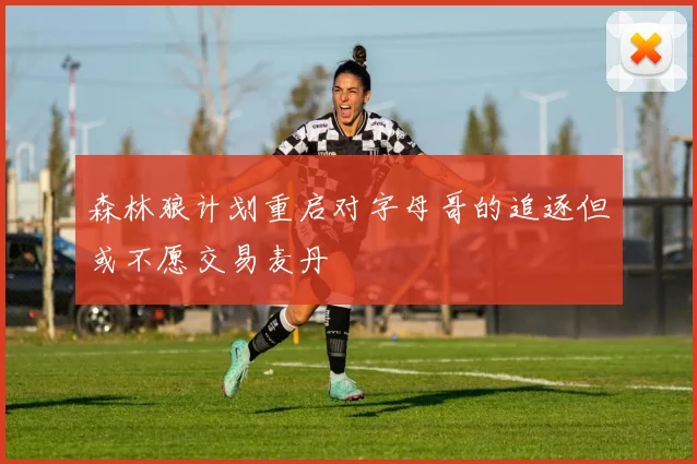 森林狼计划重启对字母哥的追逐但或不愿交易麦丹