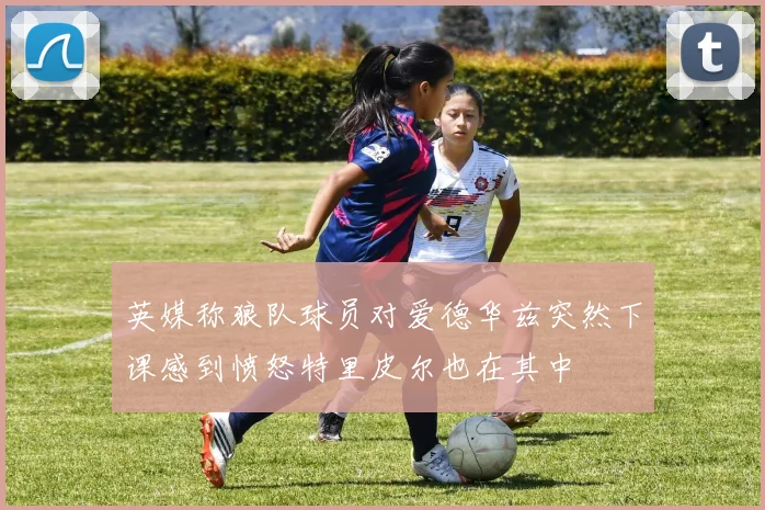 英媒称狼队球员对爱德华兹突然下课感到愤怒特里皮尔也在其中